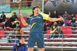 게시물