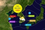 게시물