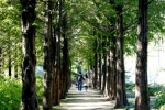 게시물